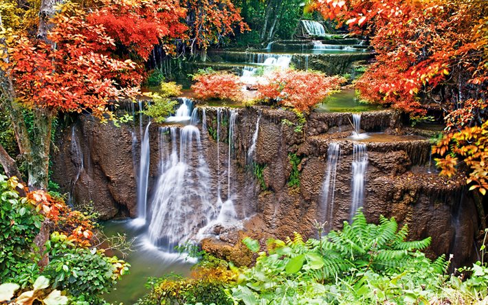 autumn, forest, river, vegetation, waterfall