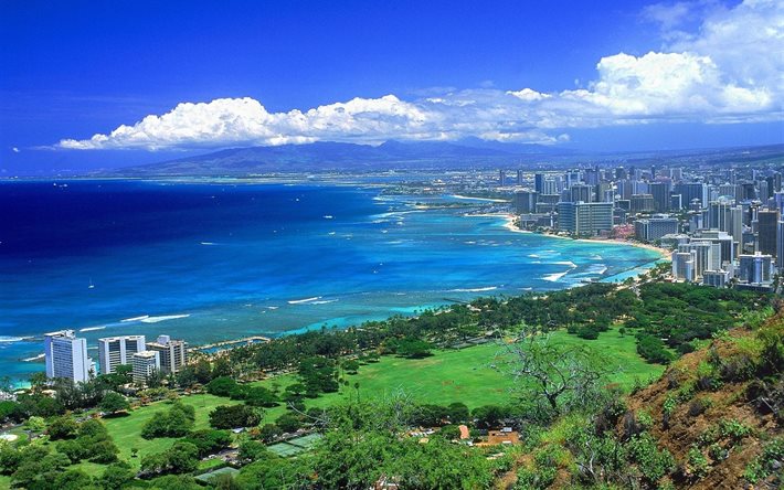 오아후 섬, 도시, 파노라마, top view, 하와이