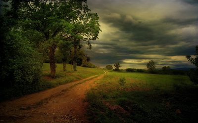 trees, dirt road, landscape, clouds, nature, grass, road, gloomy sky