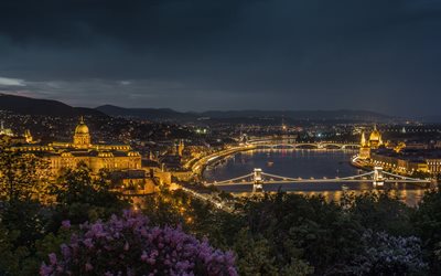 ağaçlar, şehir, gece, köprü, ışıklar, başkent, mimarlık, Budapeşte, Macaristan