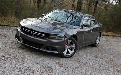 2015, dodge charger, dodge, the charger, muscle car, sedan