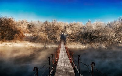 fog, forest, the bridge, winter, mist, bridge, walkway, snow, nature, landscape, trees, path