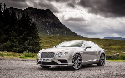 w12, continental, coupe, bentley, new items, 2016, bently, nature