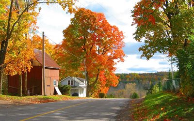 الخريف, تقع, المناظر الطبيعية, الطريق, الأشجار, شجرة, الغابات, المنزل