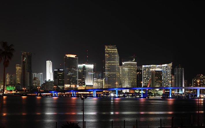 밤, 조명, 스카이 라인, 고층 빌딩, 마이애미, 플로리다, 도시, 미국