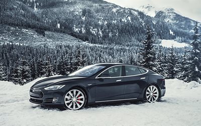 वन, p85d, सर्दी, मॉडल एस, टेस्ला, 2015, इलेक्ट्रिक कार