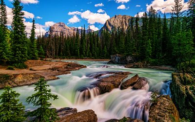 Kicking Horse River, 4k, summer, fast streams, mountains, forest, Rocky Mountains, Yoho National Park, USA, America, HDR, beautiful nature