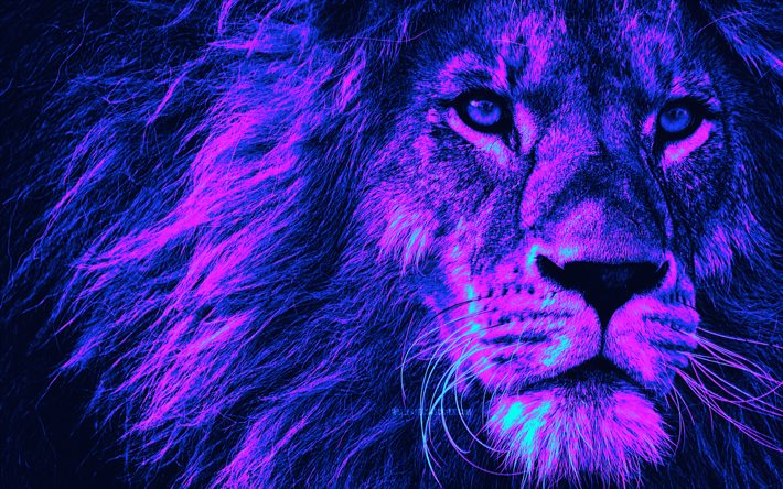 lion cyberpunk, 4k, konstverk, rovaktig utseende, djurens kung, abstrakta djur, lejon minimalism, cyberpunk, vilda djur, rovdjur, lejon, panthera leo, bild med lejon, kreativ, abstrakt lejon