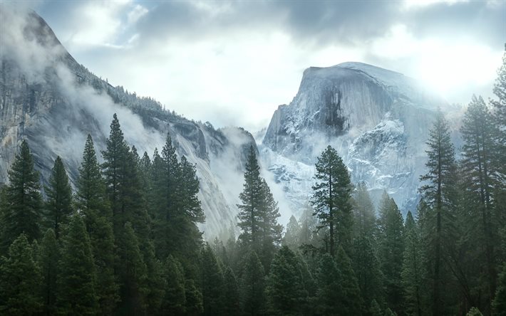 वन, पहाड़ों, पेड़, बादलों, अमेरिका, कैलिफोर्निया, Yosemite, नेवादा