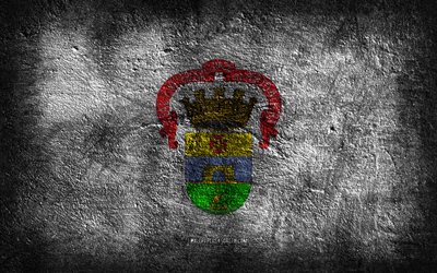 4k, ポルトアレグレの旗, ブラジルの都市, 石のテクスチャ, 石の背景, ポルトアレグレの日, グランジアート, ブラジルの国のシンボル, ポルトアレグレ, ブラジル