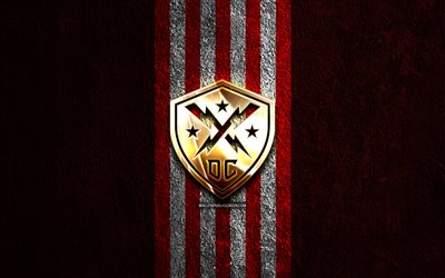 DC Defenders golden logo, 4k, red stone background, XLS, american football team, DC Defenders logo, american football, DC Defenders