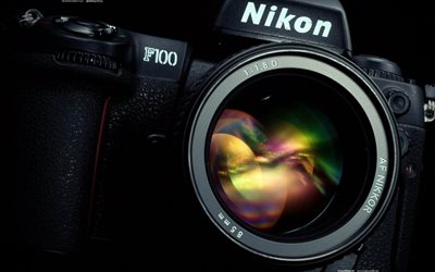 니콘 f100, 확대, 렌즈, 카메라, 니콘 카메라, 카메라로 사진, 니콘