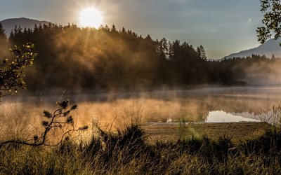 Egelsee lac, brouillard, matin, 4k, Carinthie, Autriche