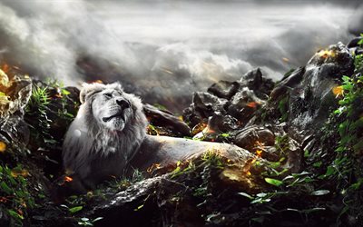 león, arte, 4k, rocas creativo, de la selva