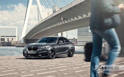 track edition, m235i, bmw, 2016, the city, coupe