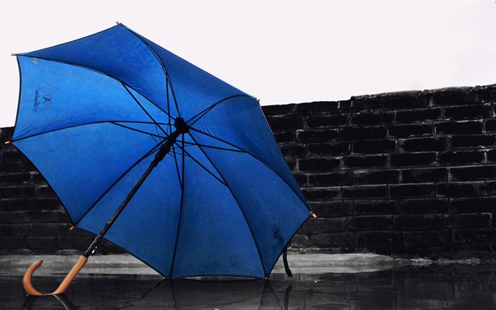 خلفيات, أخرى, خلفية, الأزرق, مظلة, عريضة