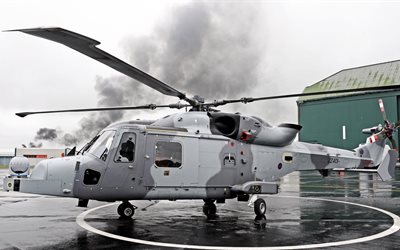 طائرة هليكوبتر, العشوائية, aw159, البحرية الملكية, مع, المملكة المتحدة