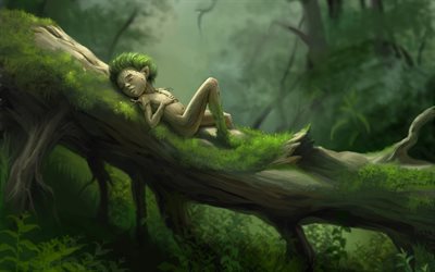 tonttu, puu, metsä, uni, fantasia