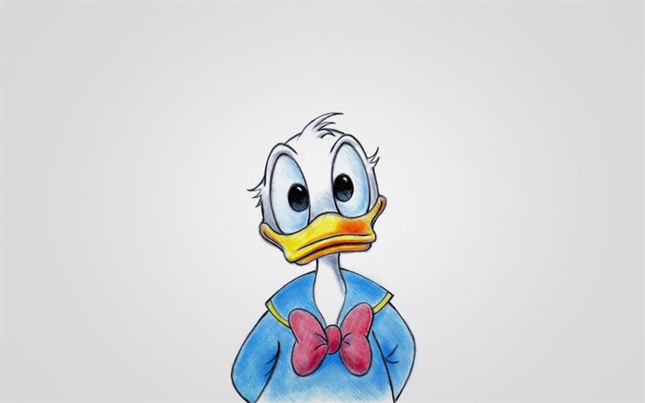 disney, donald duck, cartoon