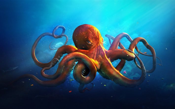 art, under water, octopus