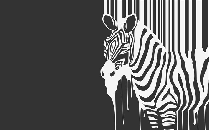 art, zebra, minimalism