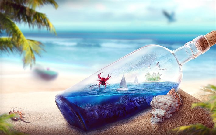 the ocean, tropics, bottle, boat, crab
