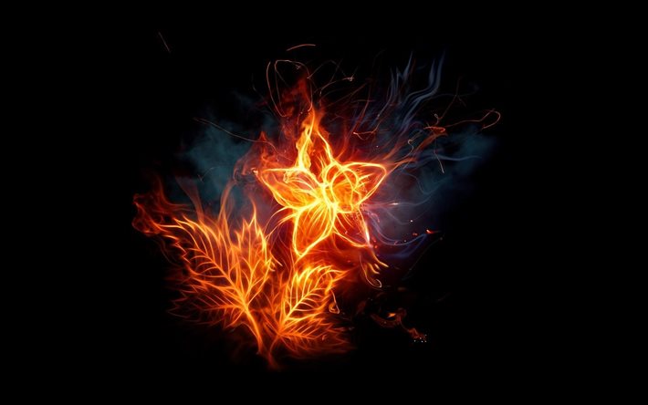fiery, flower, fire, abstraction
