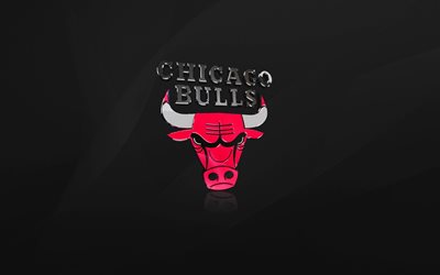 los chicago bulls, logo en 3d, de los chicago bulls