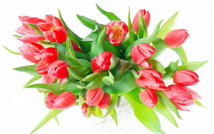tulipany, blumenstrauß, tulpen
