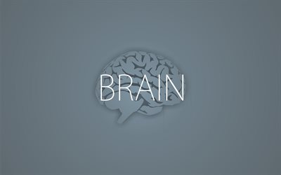 minimalismo, il cervello, sfondo grigio