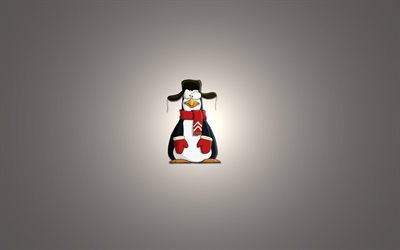 pinguin, winter, minimalismus
