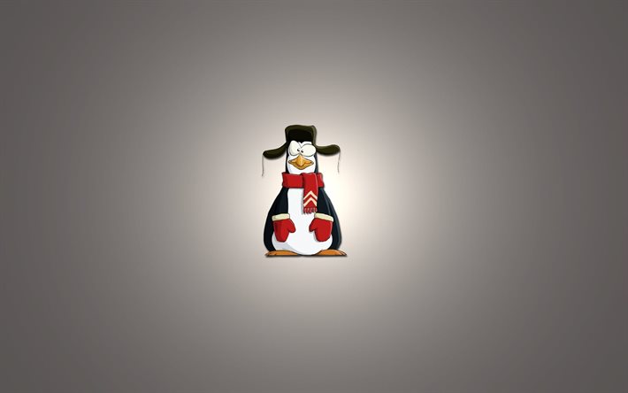 pingouin, l'hiver, le minimalisme