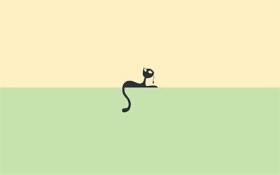 svart katt, minimalism, bakgrund