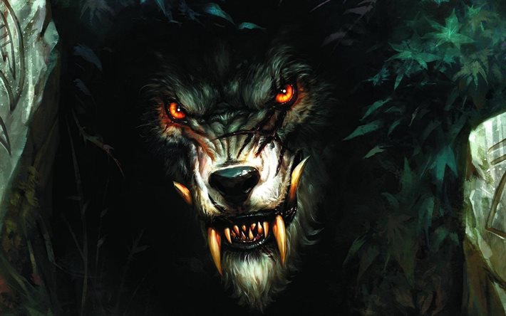 wolf, anger, fantasy