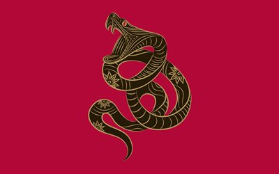 le serpent, le minimalisme, arrière-plan rose
