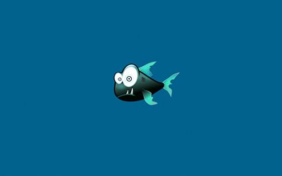 blue background, fish, minimalism, piranha