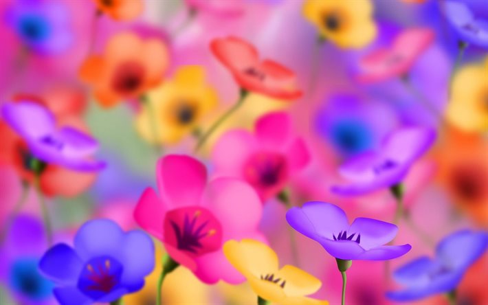 colorful flowers, macro
