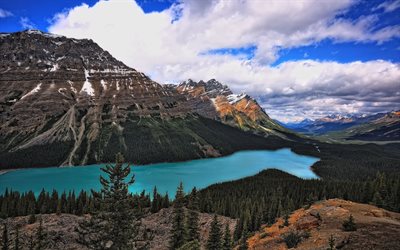 mountains, peyto lake, forest, canada