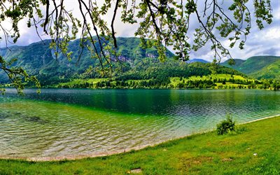 verão, eslovênia, bohinj, montanhas, lago