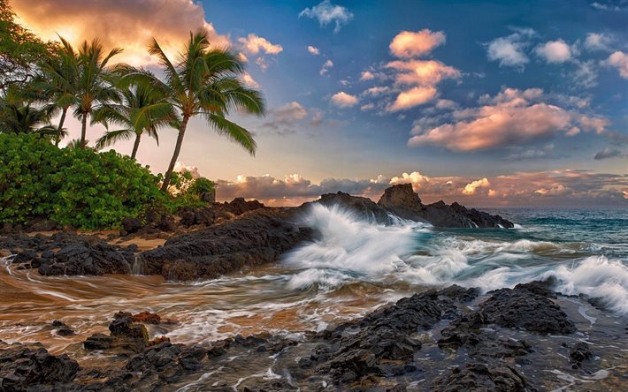 hawaii, welle, paradiesische inseln, küste, sonnenuntergang
