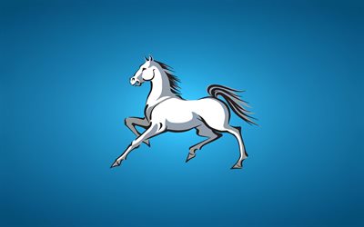 cheval blanc, le minimalisme, le fond bleu