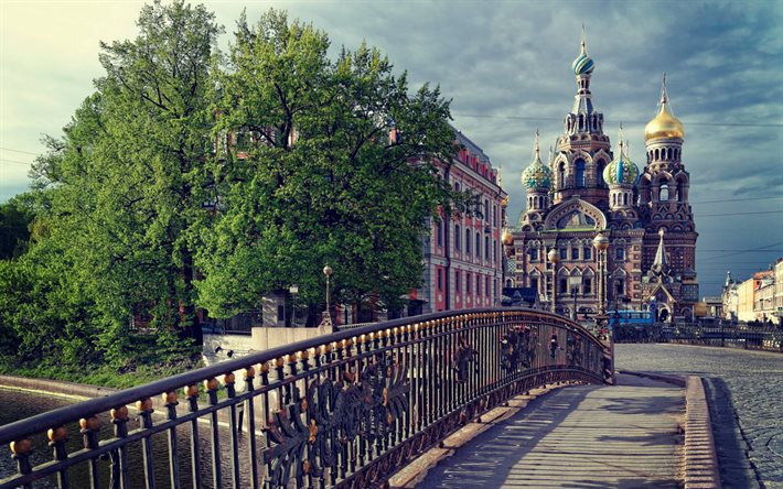 le pont, l'église du sauveur sur le sang, st - pétersbourg, en russie