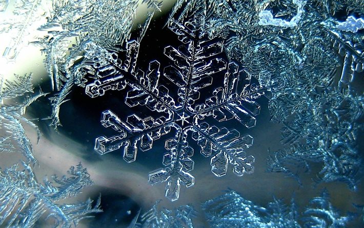 ice, snowflakes, macro, winter, snowflake