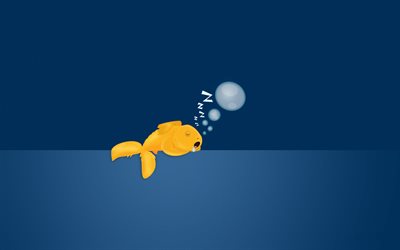 le poisson, le sommeil, sous l'eau, le minimalisme