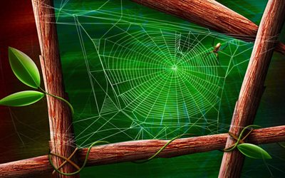 spider, web, creative, abstraction