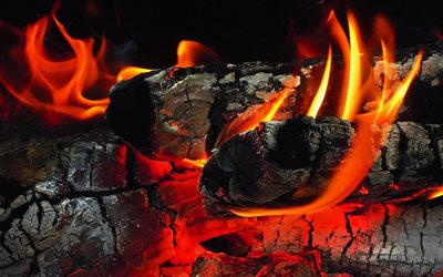 flamme, le charbon, le bois, le feu, les langues