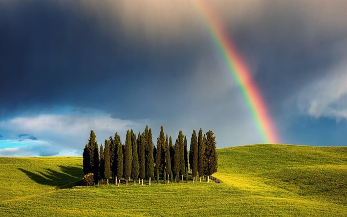 bosco, colline, arcobaleno, toscana, italia