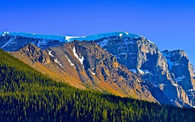 montagna, foresta, parco nazionale di jasper, canada, icefields parkway