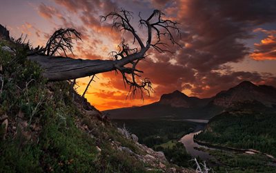 coucher de soleil, paysage, montana, états-unis, dans le montana