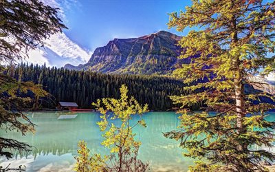 Kanada, lake louise, banff ulusal park, göl louise, orman
